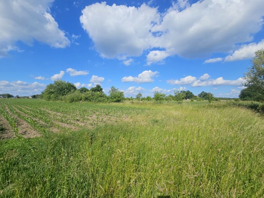 Działka Rzakta