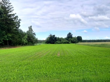 Działka Krosno