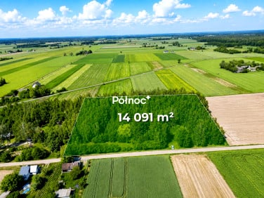Działka przy lesie