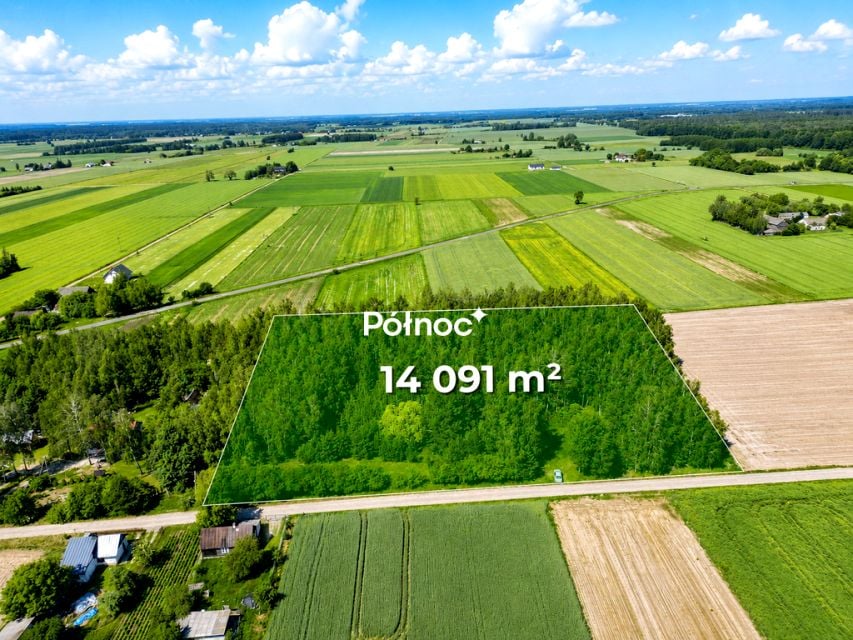 Działka przy lesie