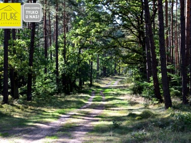 Działka Wycinki
