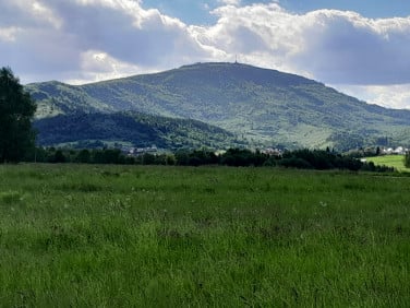 Działka budowlana Lipowa