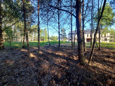Działka Łubna
