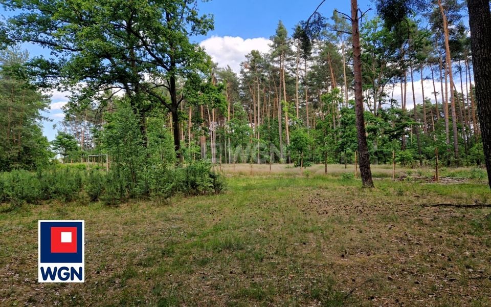 Działka budowlana Szprotawa