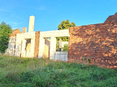 Działka budowlana Wilków