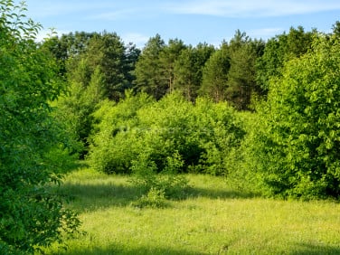 Działka budowlana Jeruzal