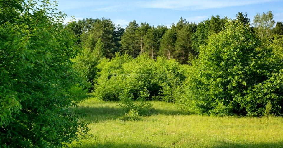 Działka budowlana Jeruzal