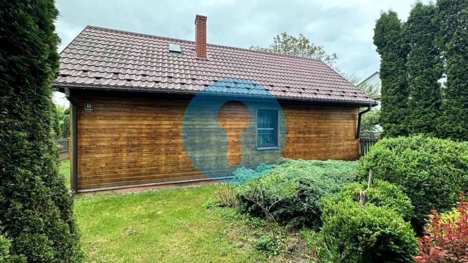 Zdjęcie 3