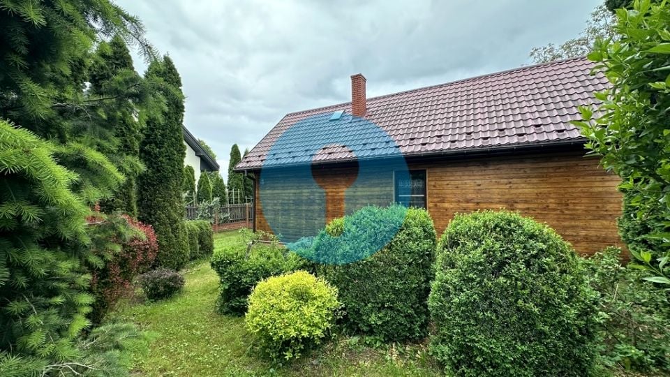 Zdjęcie 2