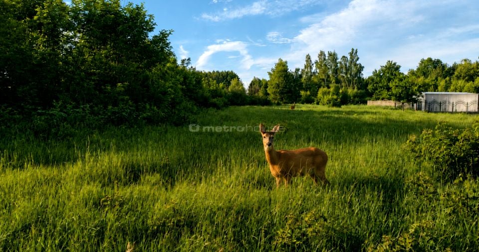 Działka budowlana Jeruzal