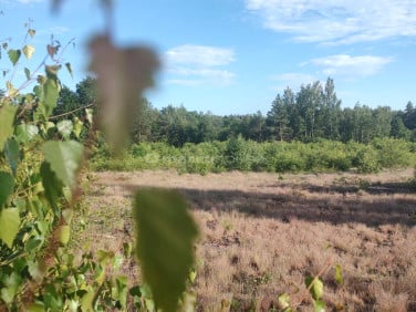Działka budowlana Jeruzal