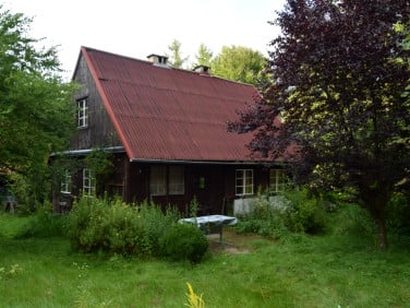 Dom Gołubie