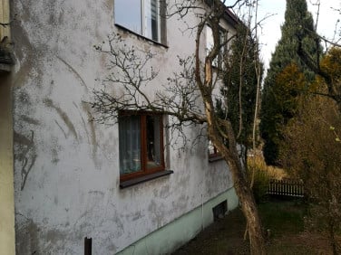 Dom Golub-Dobrzyń sprzedaż