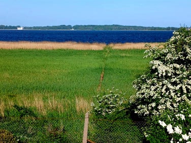 Działka Dziwnówek