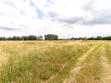 Działka Rurzyca