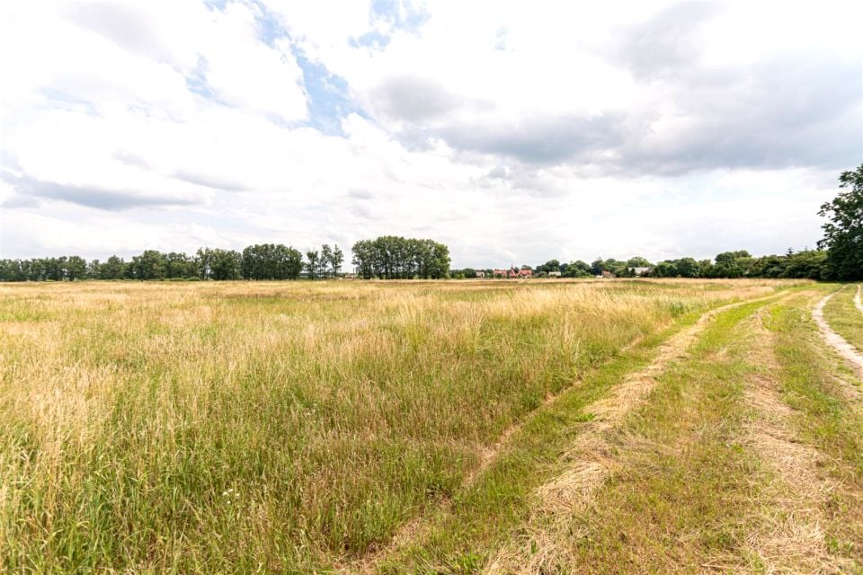 Działka Rurzyca