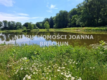 Działka Pierstnica
