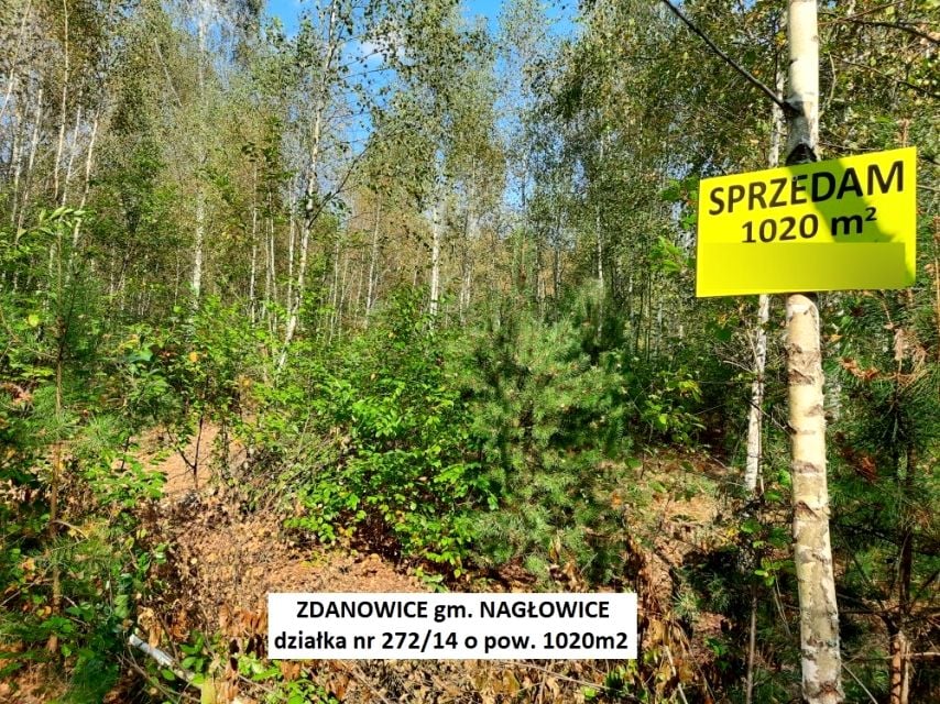 Działka rekreacyjna Zdanowice sprzedam