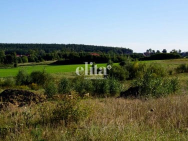 Działka inna Kaczki