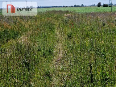 Działka przy lesie