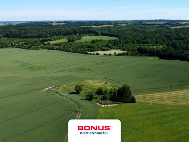 Działka budowlano-rolna Wysoka Dąbrowa