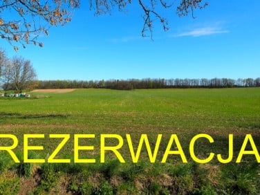 Działka Brunów