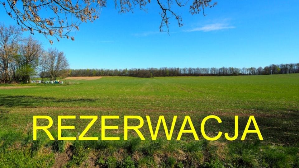 Działka Brunów