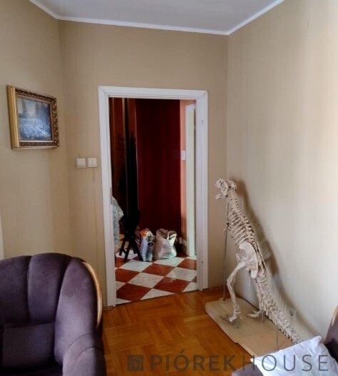 Zdjęcie 3