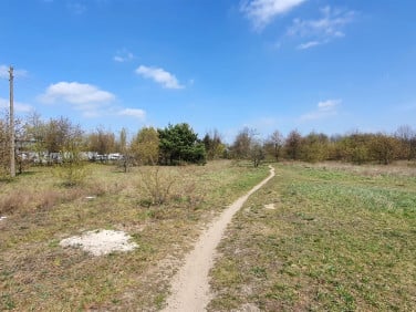 Działka rolna Marki