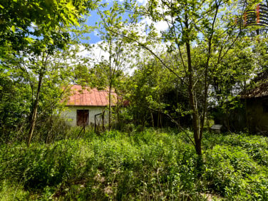 Dom Strzelce