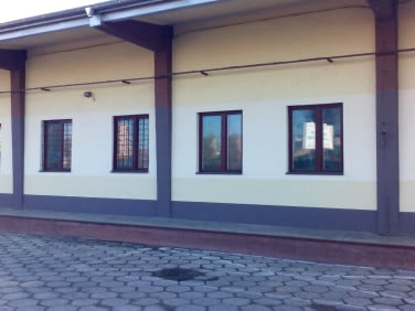 Lokal Kielce