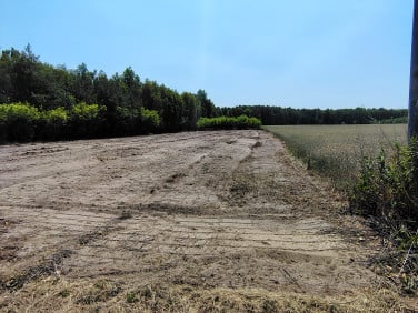Działka budowlana Wola Karczewska sprzedam