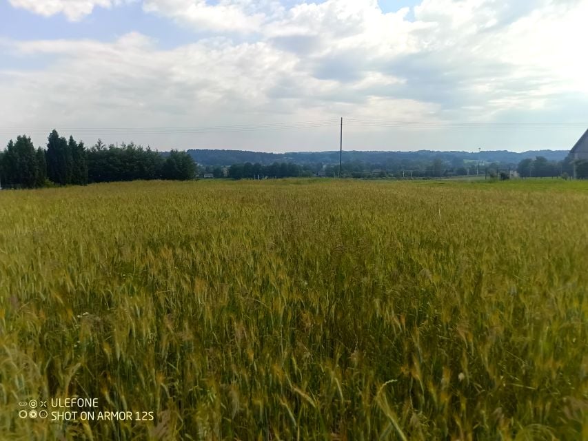 Działka Marklowice Górne