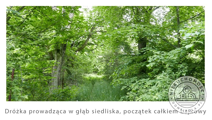 Działka siedliskowa Brzozówka