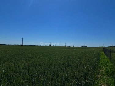 Działka budowlana Nieżychowice