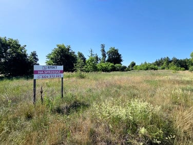 Działka budowlana Kowalewo