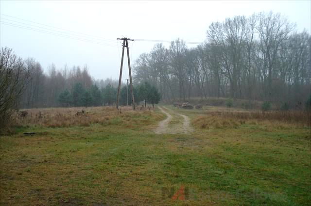 Działka budowlana Pąchy