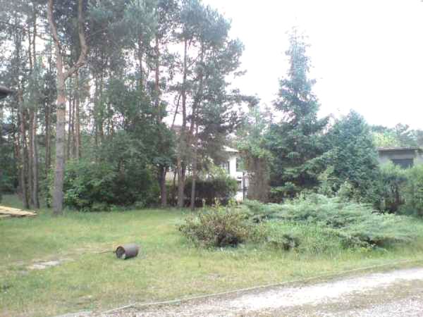 Działka przy lesie