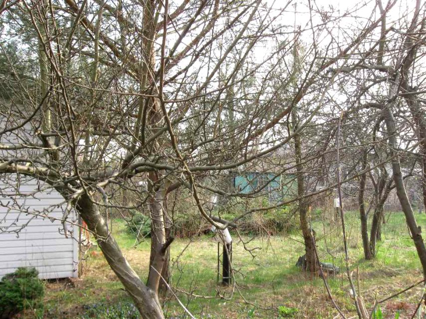 Działka budowlana Warszawa