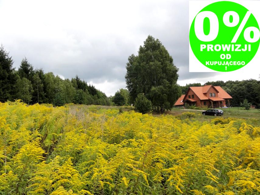 Pusta działka Olsztyn