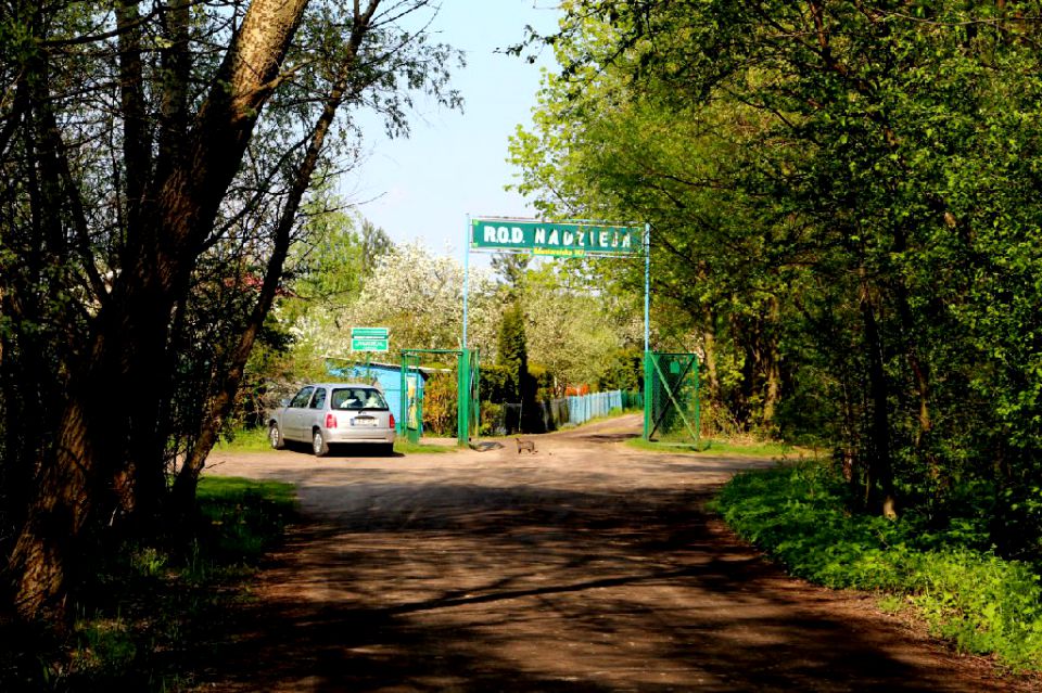 Ogrodzona działka sprzedam