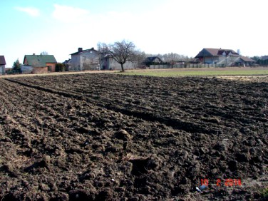 Pusta działka Brzeziny-Kolonia