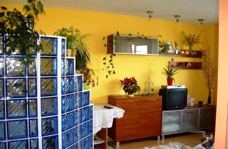 Mieszkanie przy lesie