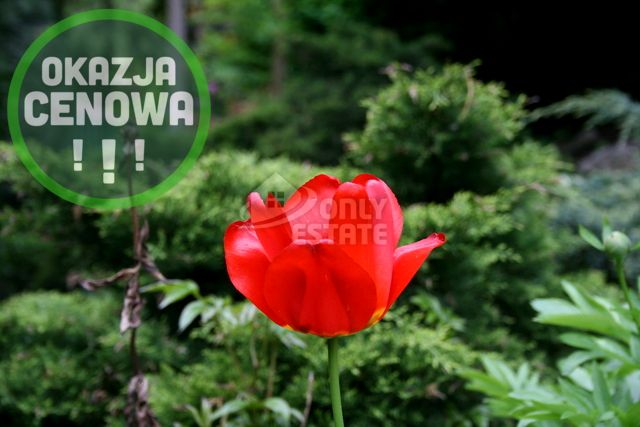 Dom Kraków