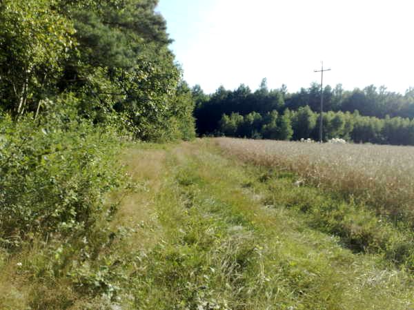 Działka Joachimów-Mogiły