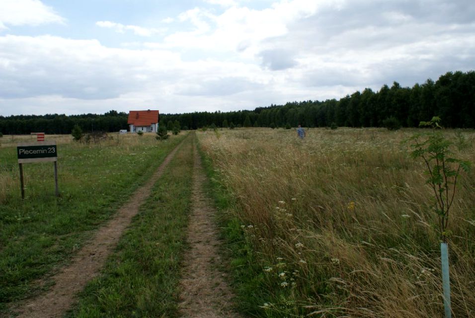 Działka Plecemin