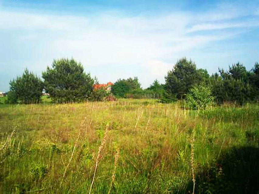 Działka Jazgarzewszczyzna