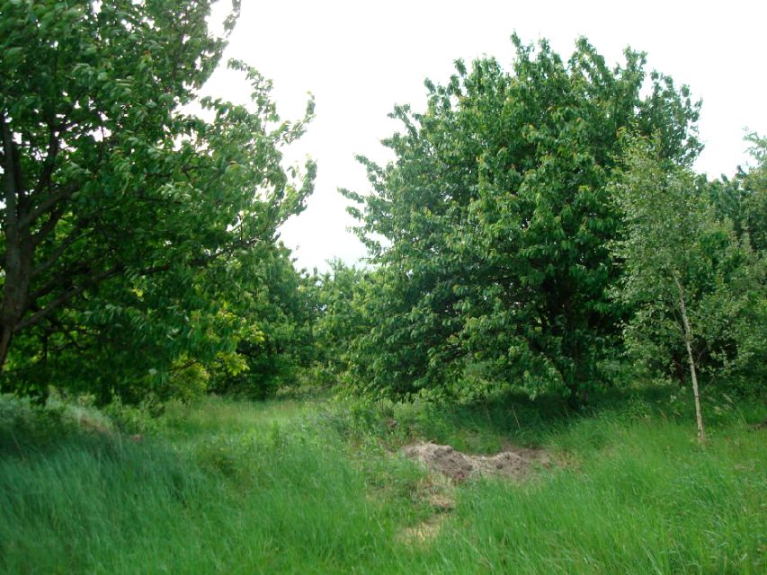 Działka Łazy