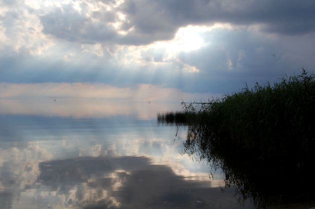 Działka budowlana Sułomino