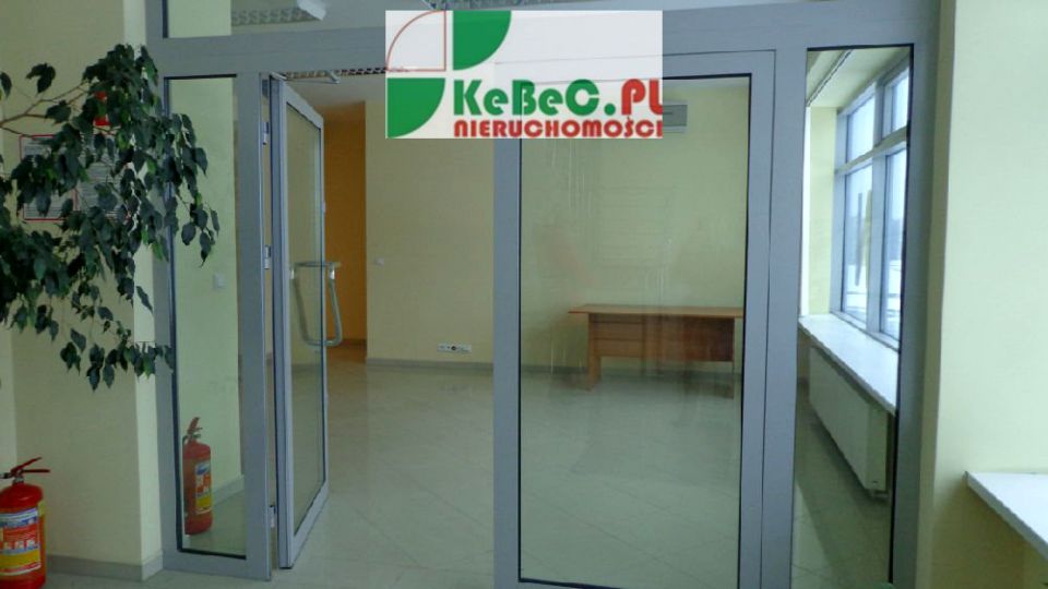 Lokal Kraków